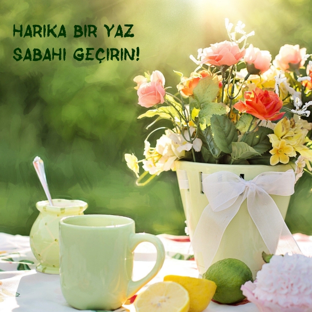 Harika bir yaz sabahı geçirin!