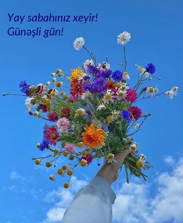 Yay sabahınız xeyir! Günəşli gün!