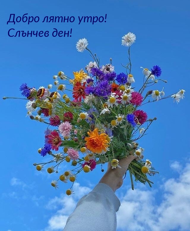 Добро лятно утро! Слънчев ден!