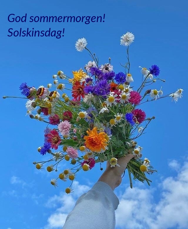 God sommermorgen! Solskinsdag!