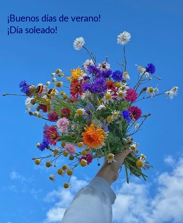 ¡Buenos días de verano! ¡Día soleado!