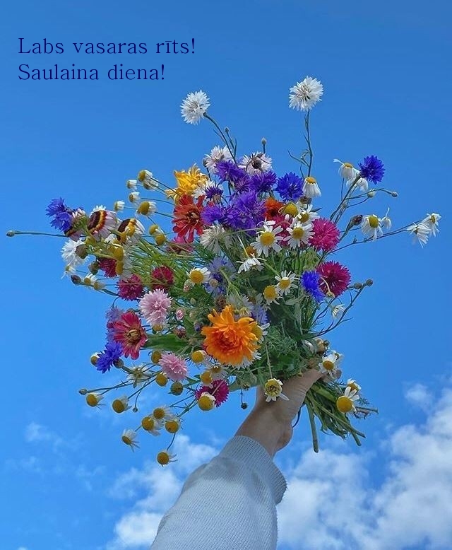 Labs vasaras rīts! Saulaina diena!