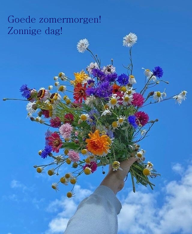 Goede zomermorgen! Zonnige dag!