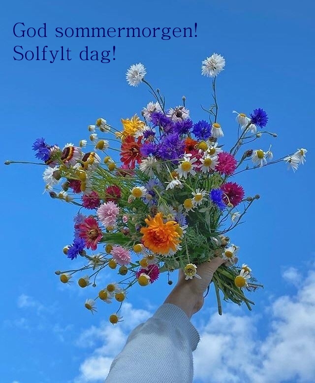 God sommermorgen! Solfylt dag!