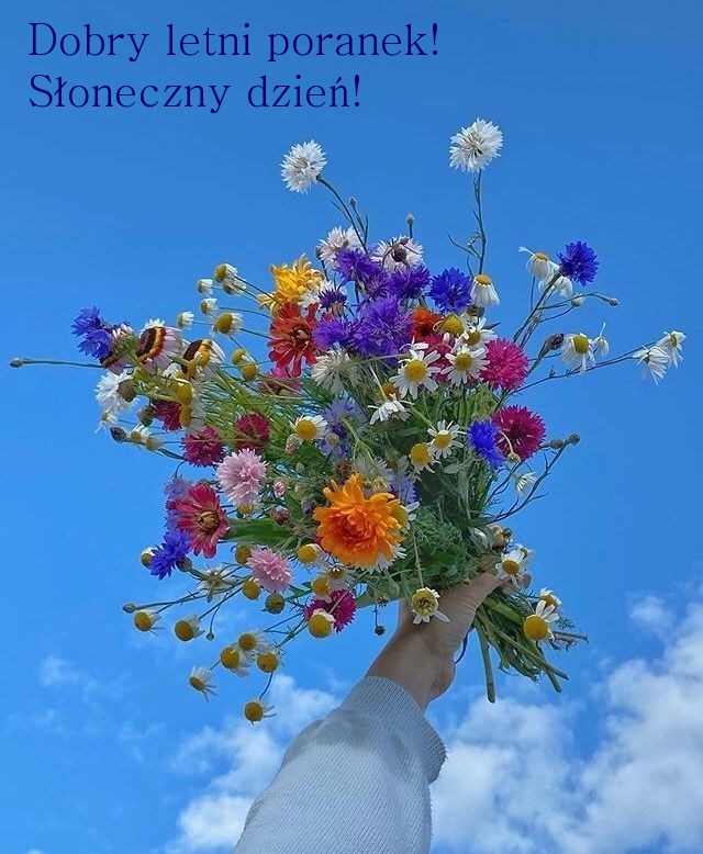 Dobry letni poranek! Słoneczny dzień!