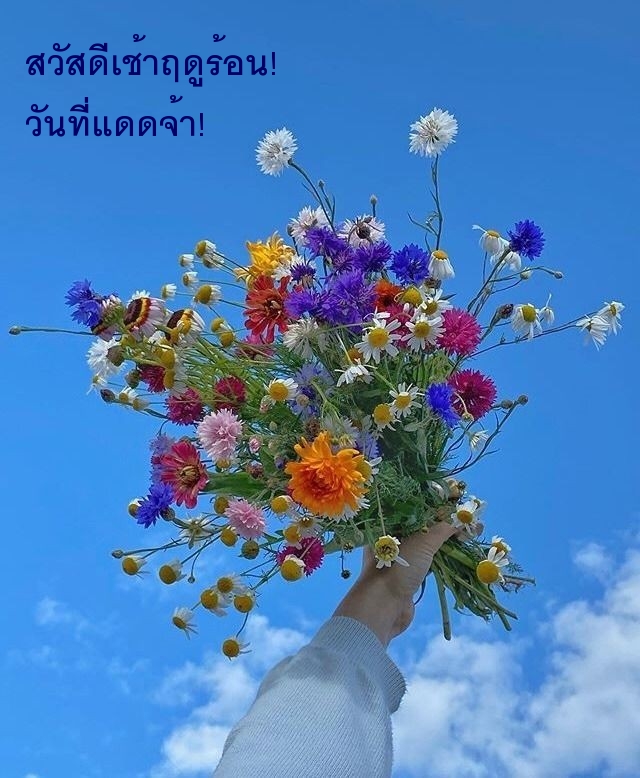 สวัสดีเช้าฤดูร้อน! วันที่แดดจ้า!