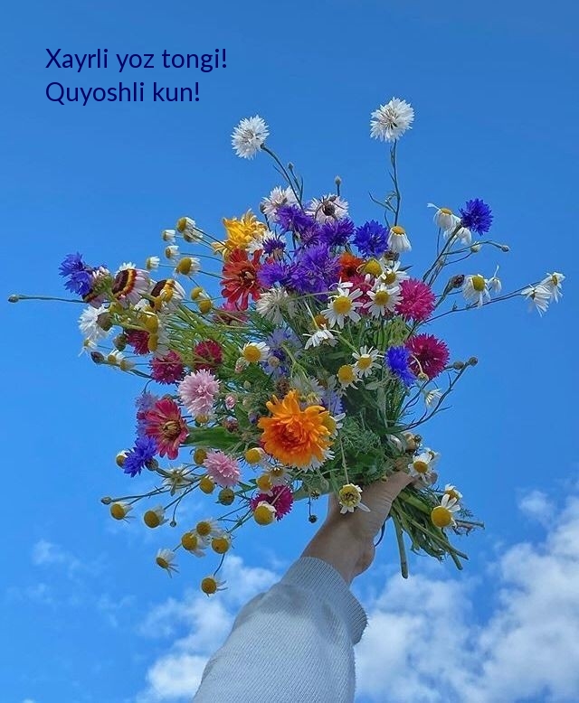 Xayrli yoz tongi! Quyoshli kun!