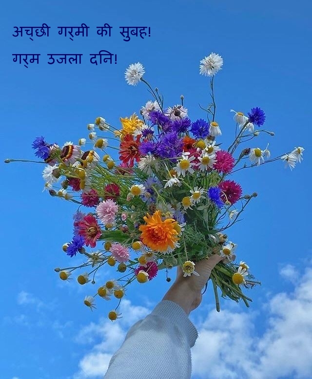 अच्छी गर्मी की सुबह! गर्म उजला दिन!