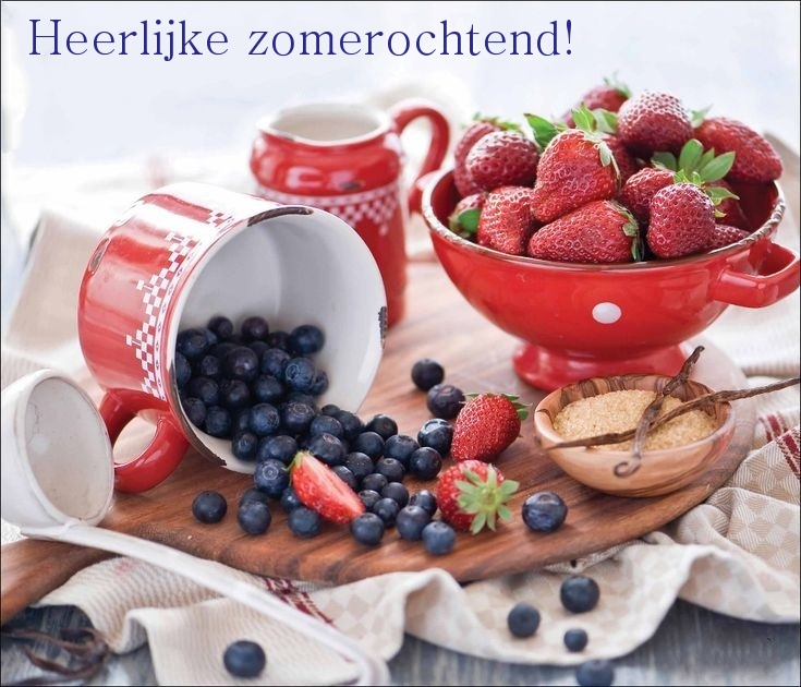 Heerlijke zomerochtend!