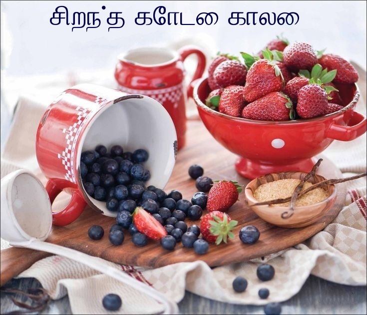 சிறந்த கோடை காலை!