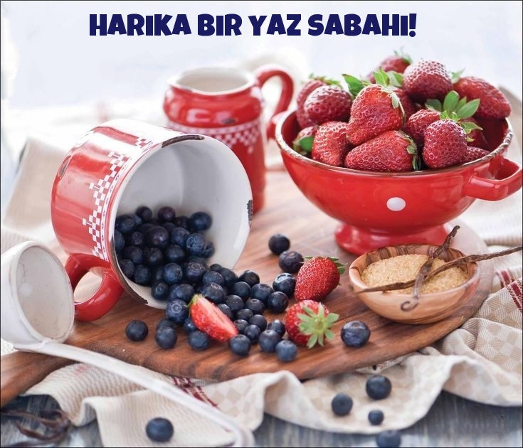 Harika bir yaz sabahı!