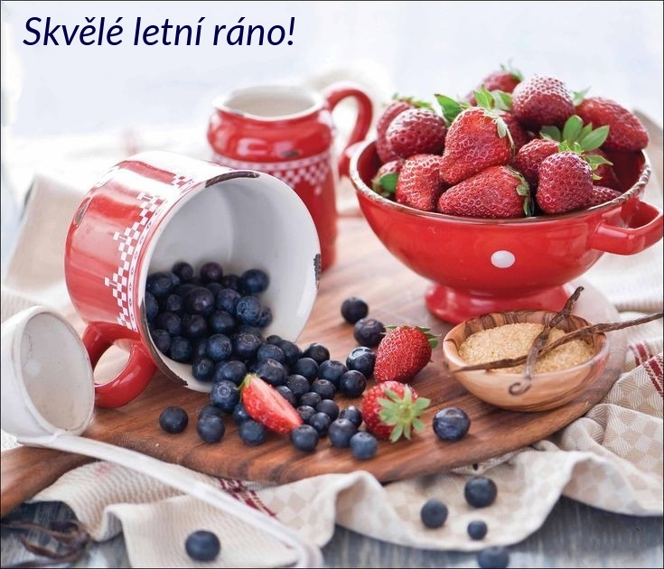 Skvělé letní ráno!