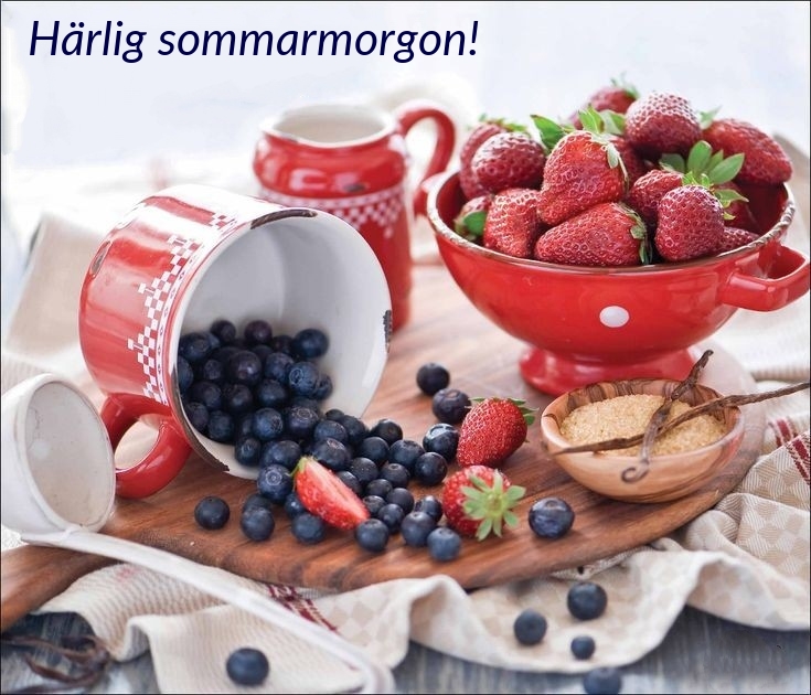 Härlig sommarmorgon!