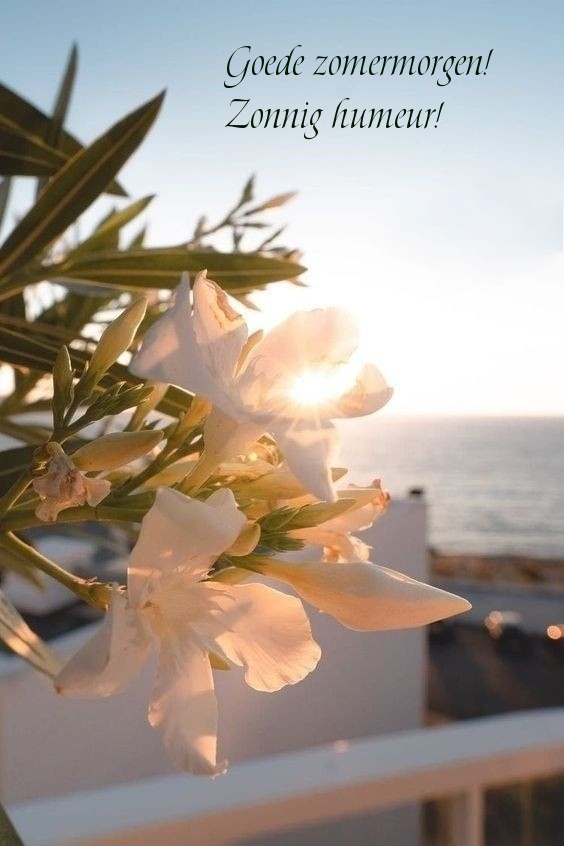 Goede zomermorgen! Zonnig humeur!