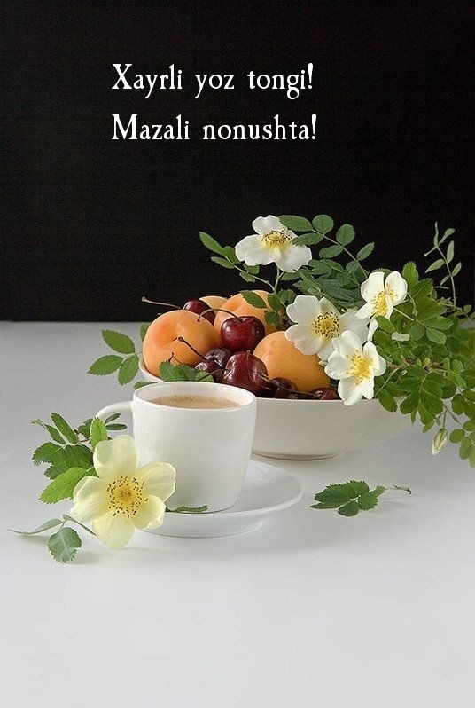 Xayrli yoz tongi! Mazali nonushta!
