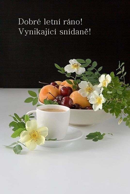 Dobré letní ráno! Vynikající snídaně!