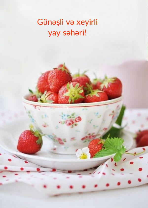 Günəşli və xeyirli yay səhəri!