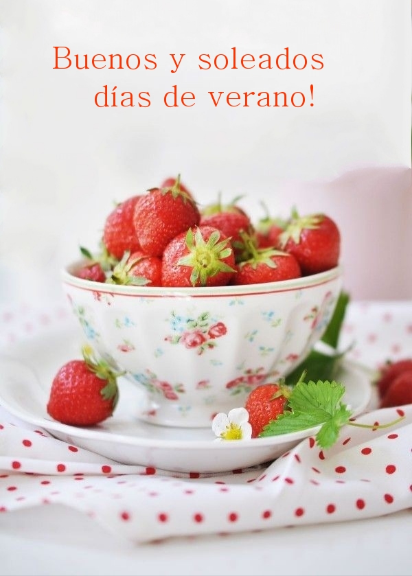 Buenos y soleados días de verano!