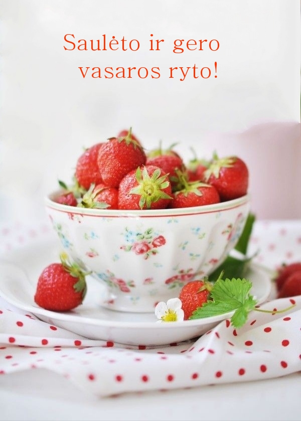 Saulėto ir gero vasaros ryto!