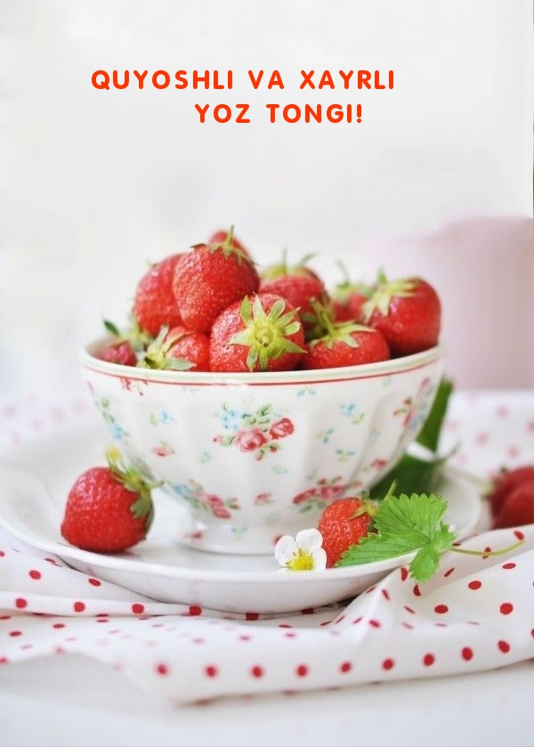 Quyoshli va xayrli yoz tongi!
