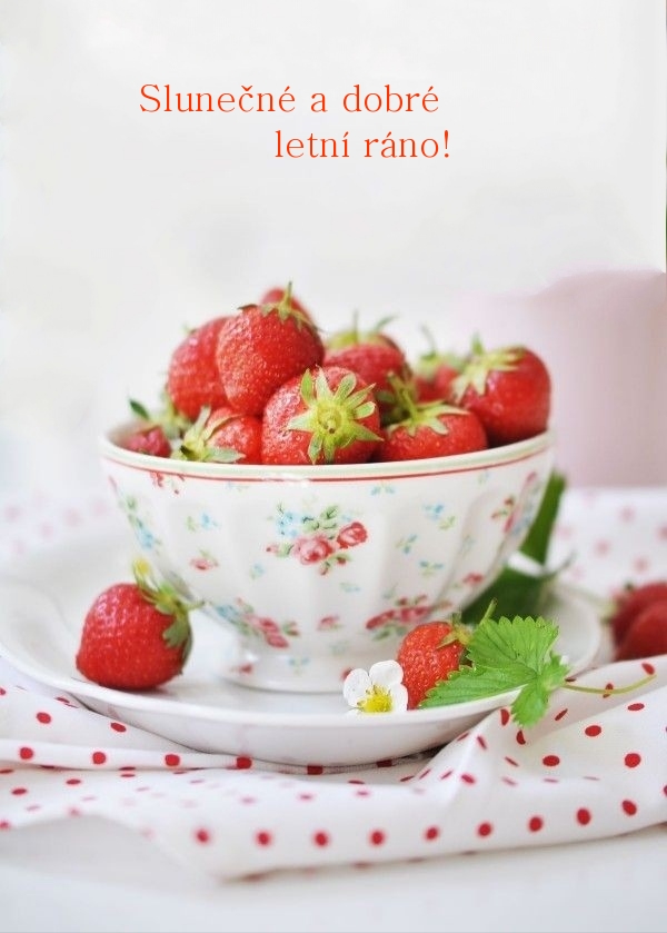 Slunečné a dobré letní ráno!