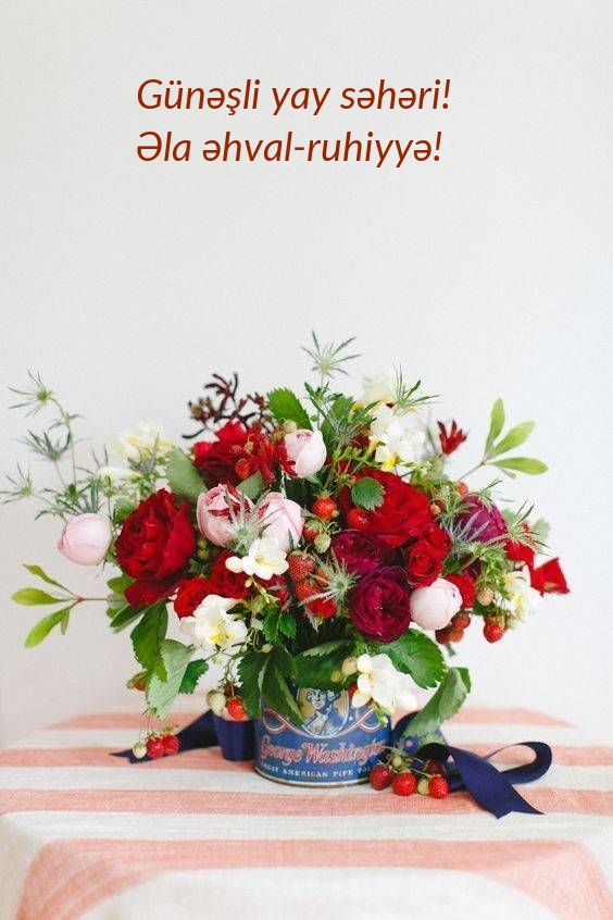 Günəşli yay səhəri! Əla əhval-ruhiyyə!