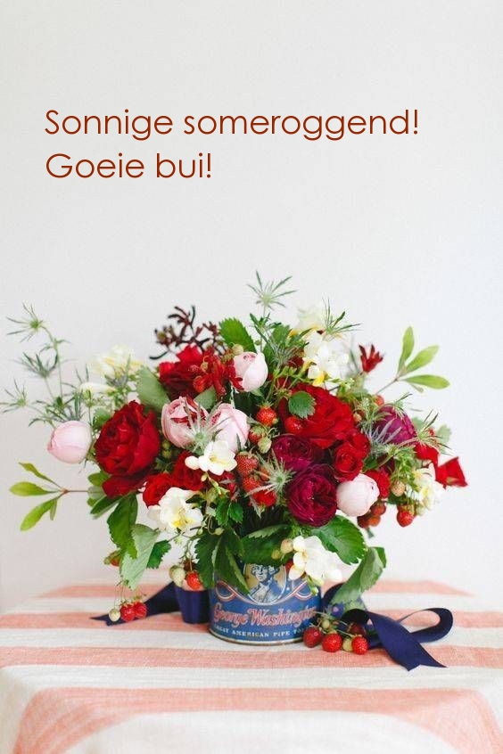 Sonnige someroggend! Goeie bui!