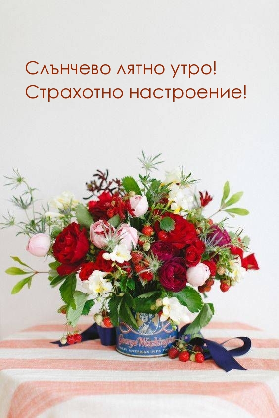 Слънчево лятно утро! Страхотно настроение!