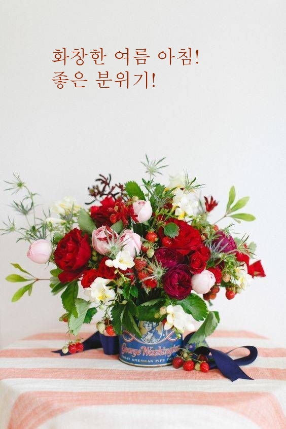 화창한 여름 아침! 좋은 분위기!