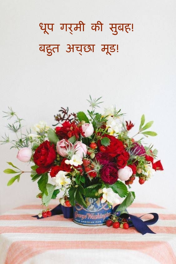 धूप गर्मी की सुबह! बहुत अच्छा मूड!