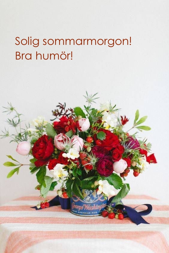 Solig sommarmorgon! Bra humör!