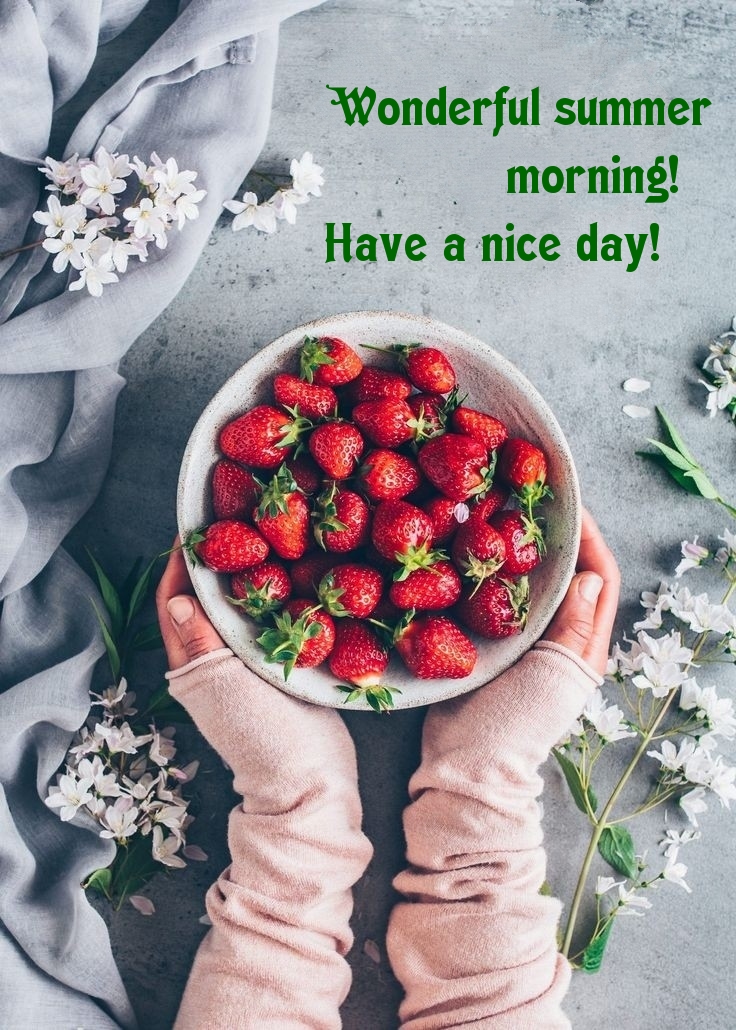 Wonderful summer morning! Have a nice day!