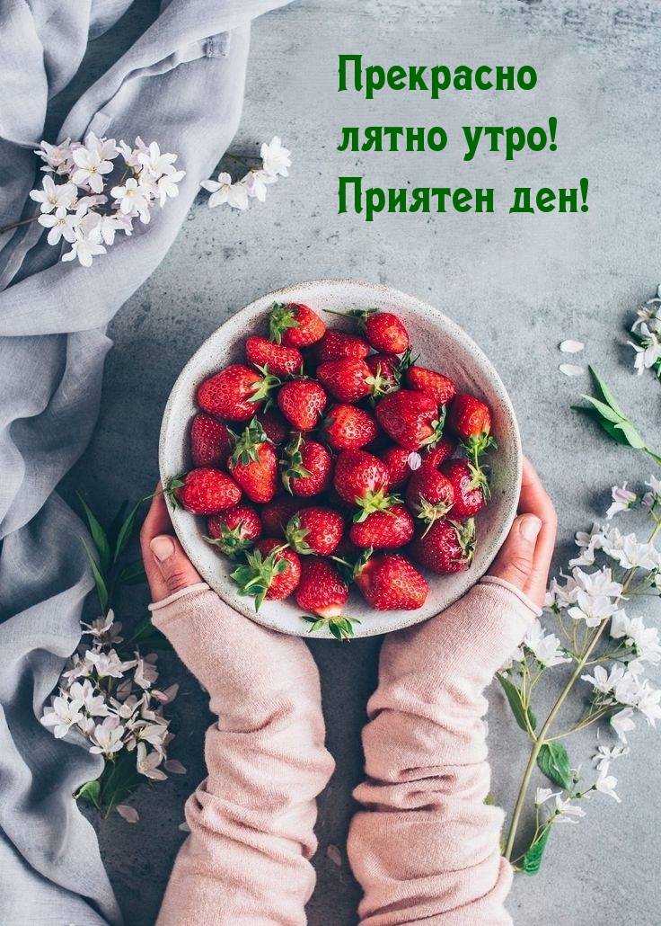 Прекрасно лятно утро! Приятен ден!