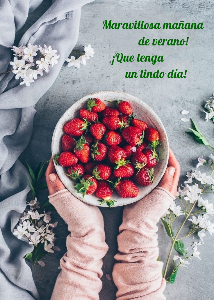 Maravillosa mañana de verano! ¡Que tenga un lindo día!