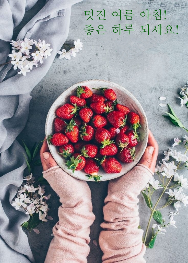 멋진 여름 아침! 좋은 하루 되세요!