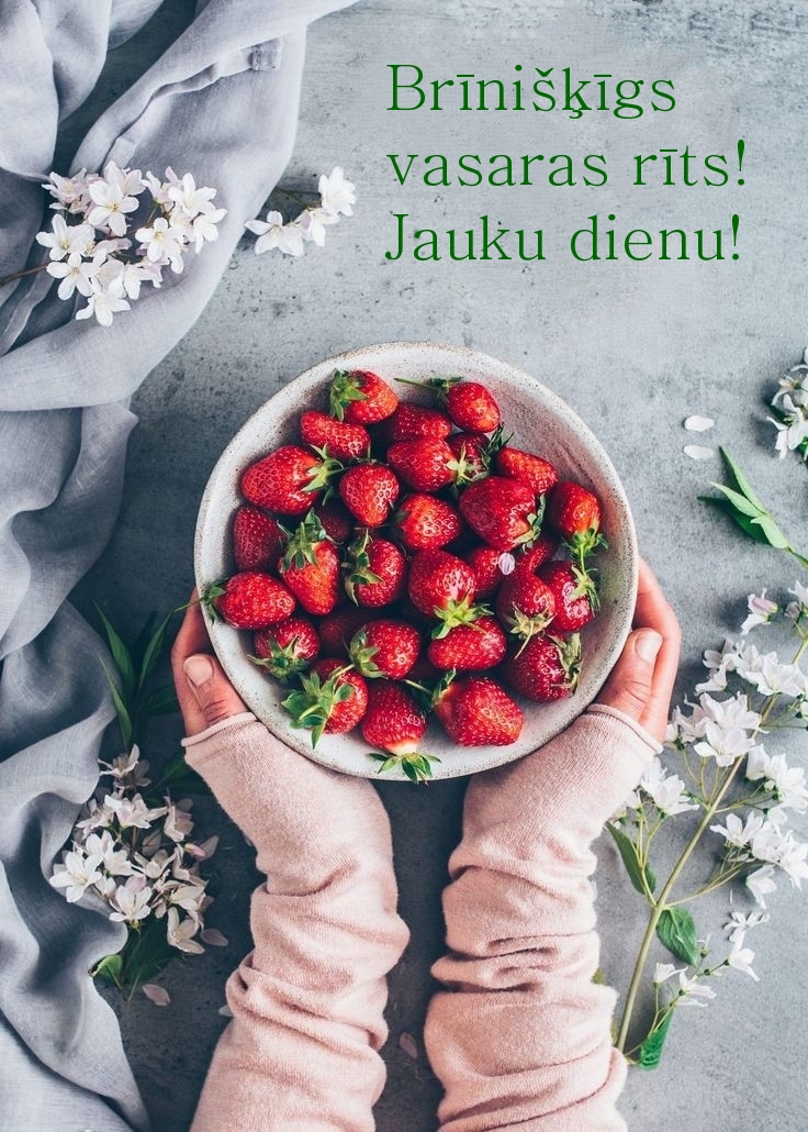 Brīnišķīgs vasaras rīts! Jauku dienu!