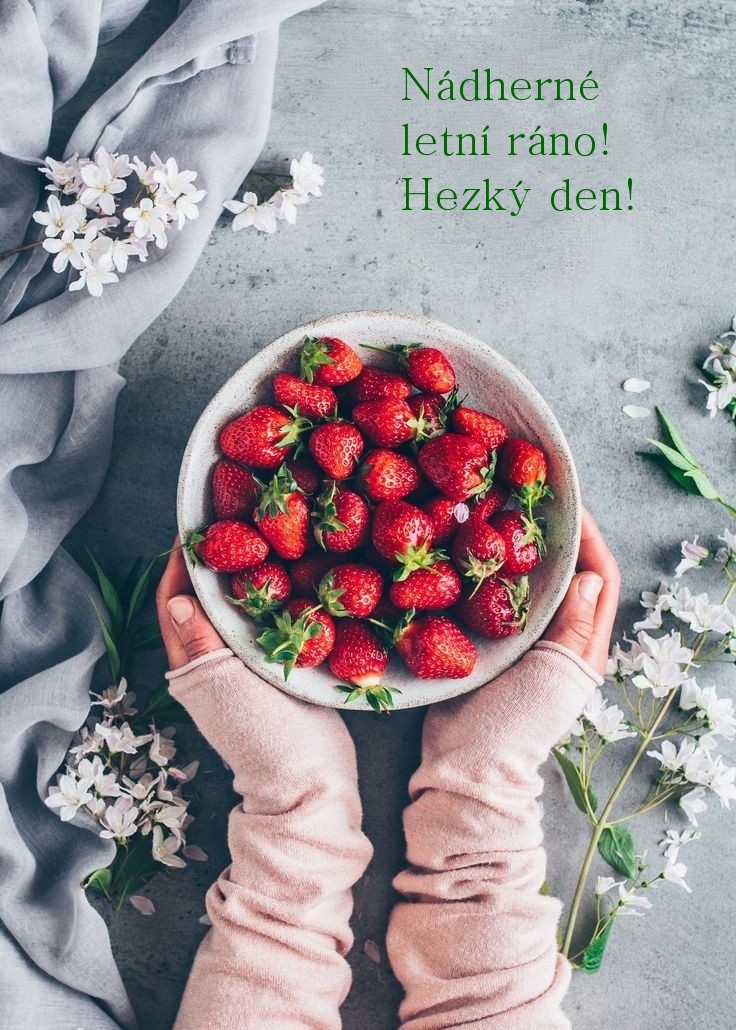Nádherné letní ráno! Hezký den!