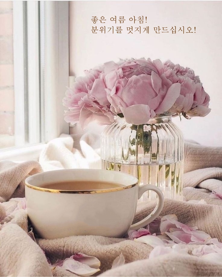 좋은 여름 아침! 분위기를 멋지게 만드십시오!