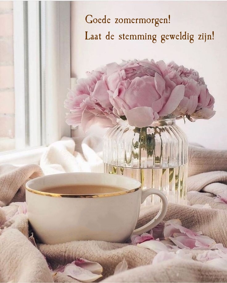 Goede zomermorgen! Laat de stemming geweldig zijn!