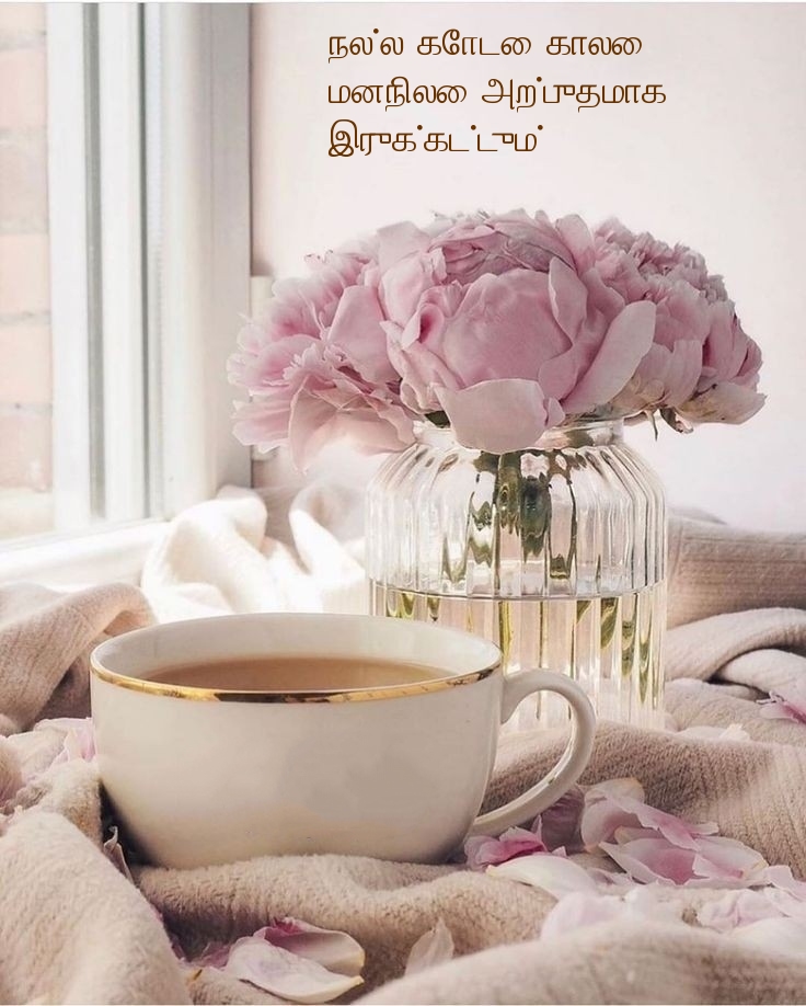 நல்ல கோடை காலை! மனநிலை அற்புதமாக 