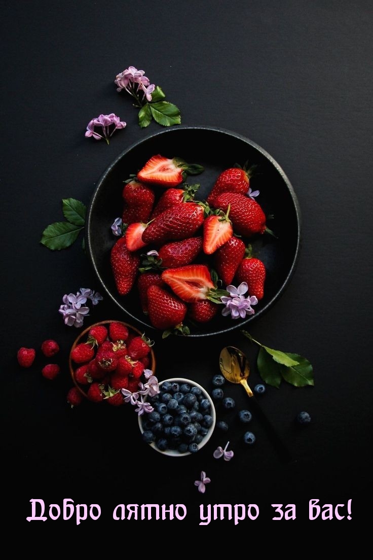Добро лятно утро за вас!