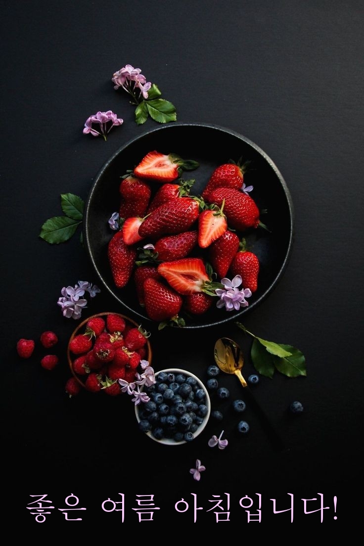 좋은 여름 아침입니다!