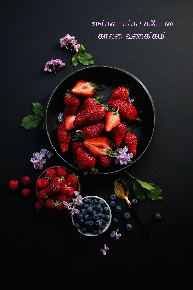 உங்களுக்கு கோடை காலை வணக்கம்!