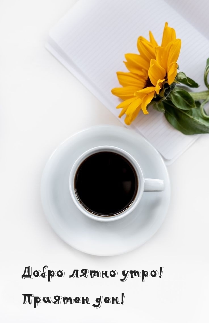 Добро лятно утро! Приятен ден!