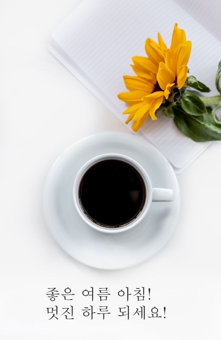 좋은 여름 아침! 멋진 하루 되세요!