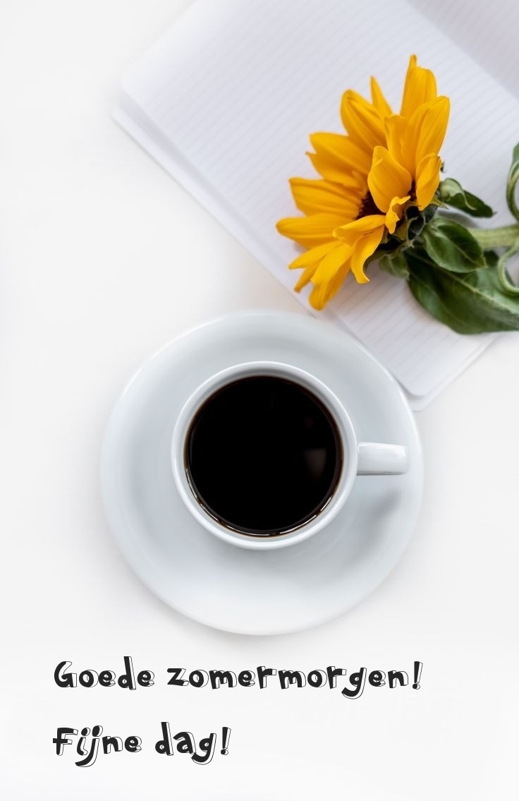 Goede zomermorgen! Fijne dag!
