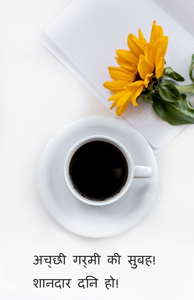 अच्छी गर्मी की सुबह! शानदार दिन हो!