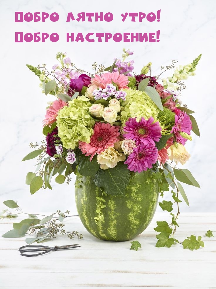 Добро лятно утро! Добро настроение!