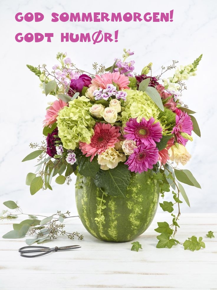 God sommermorgen! Godt humør!