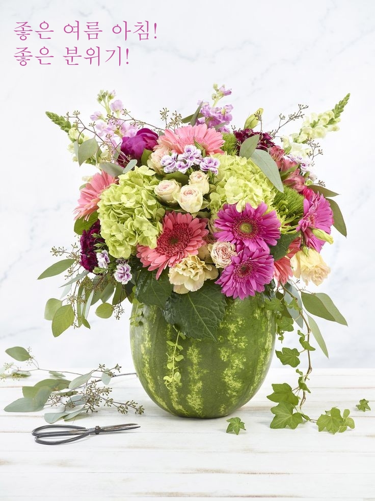 좋은 여름 아침! 좋은 분위기!